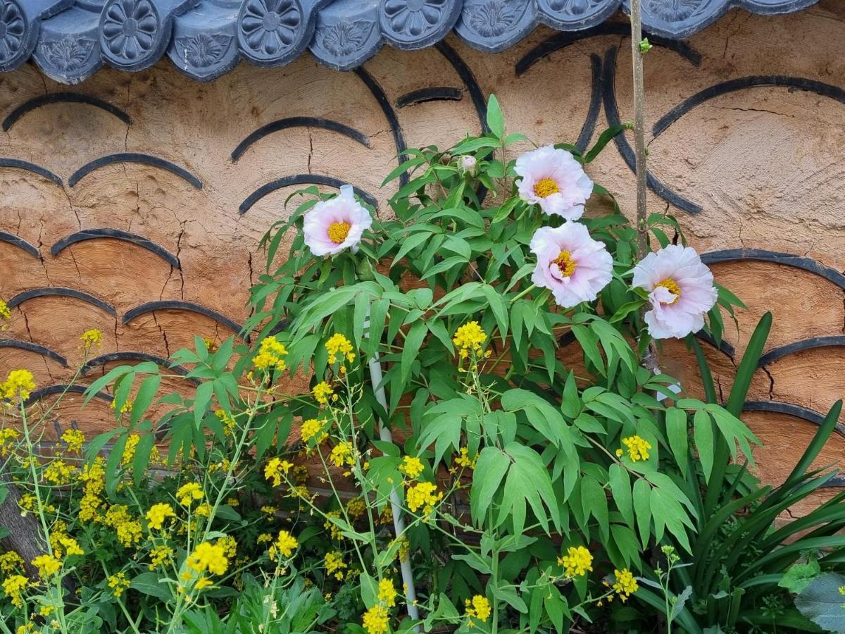 Dasomchae Hanok Stay Gwangju Metropolitan City Zewnętrze zdjęcie
